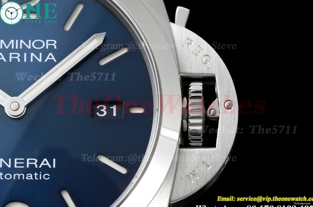 LE A9010 Dial PAM1313 44mm TTF Luminor SS Blue 0120